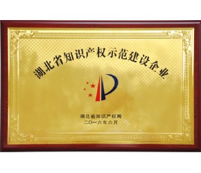 /湖北省知识产权示范建设企业
